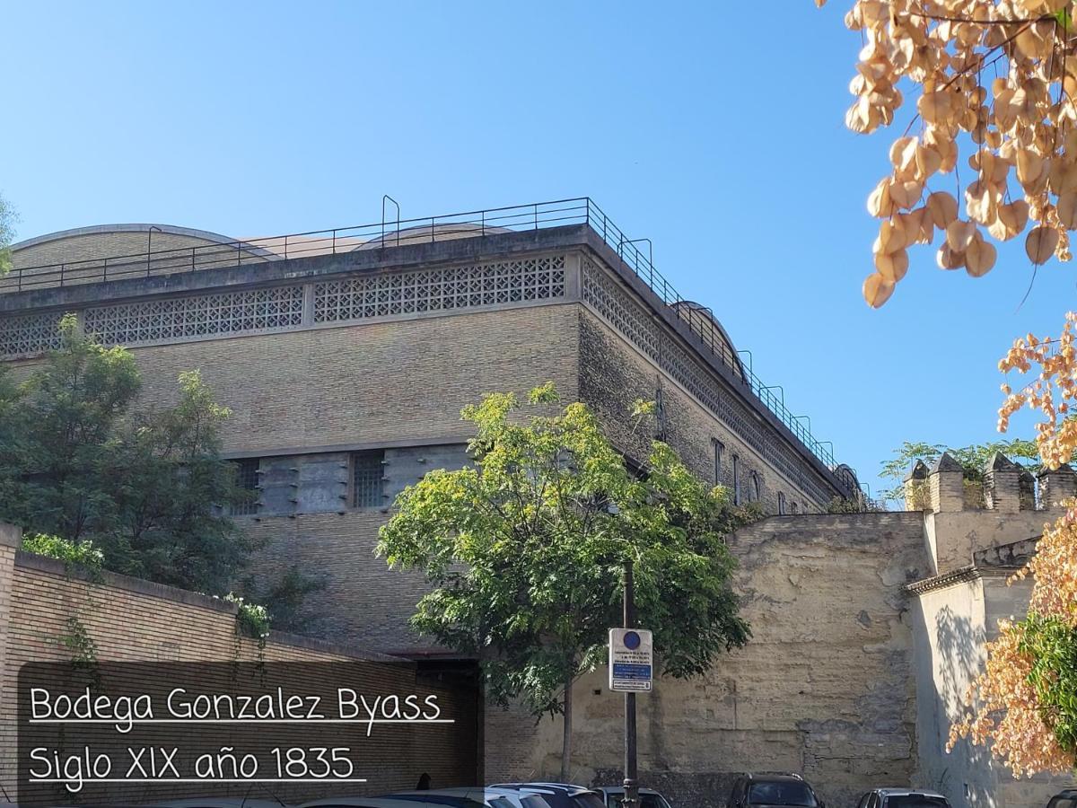 Jerez Centro Historico Apartment เฮเรซ เด ลาฟรอนเตรา ภายนอก รูปภาพ