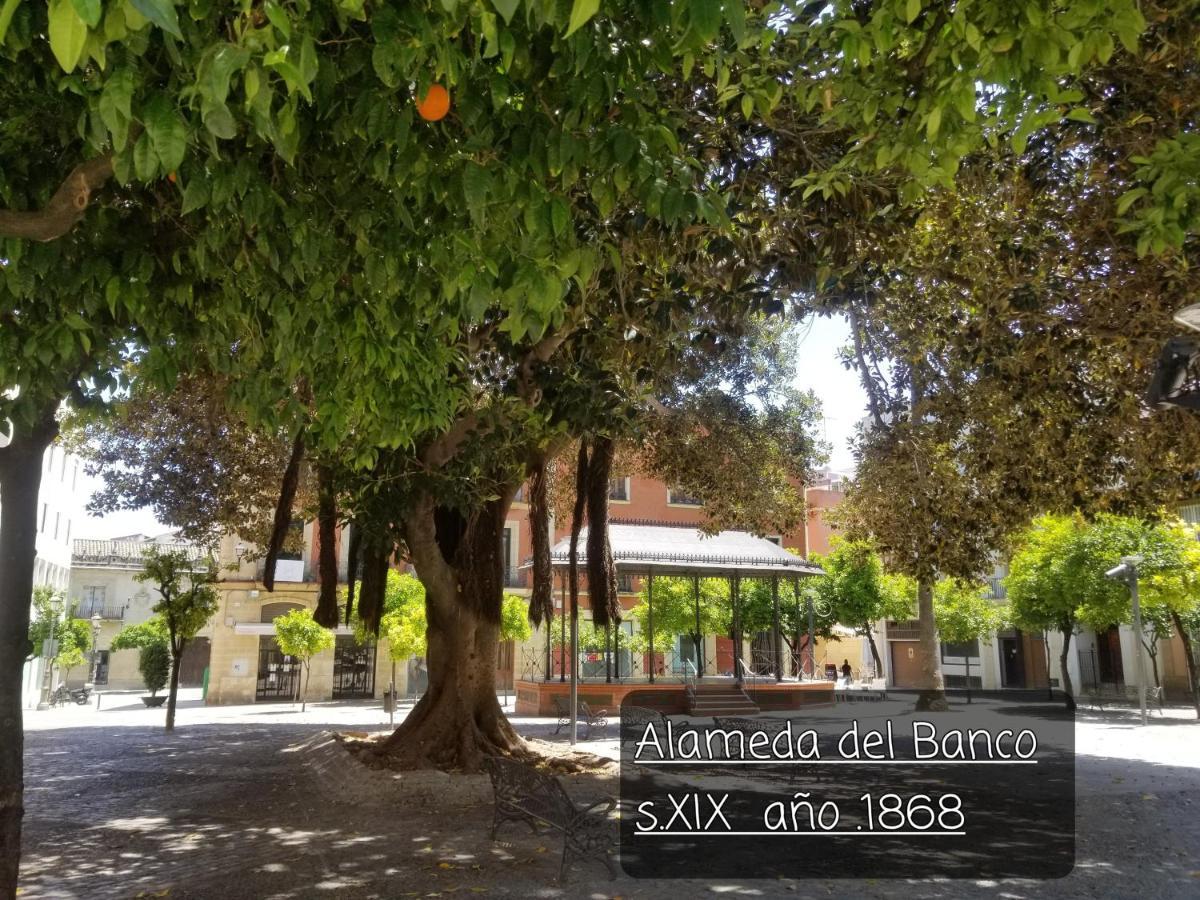 Jerez Centro Historico Apartment เฮเรซ เด ลาฟรอนเตรา ภายนอก รูปภาพ